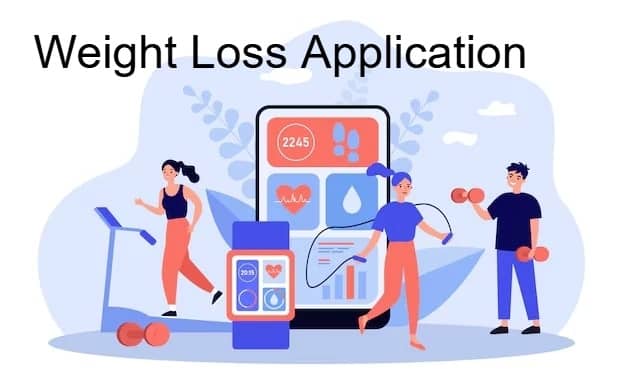 Weight Loss Application - eHealthcare Framework